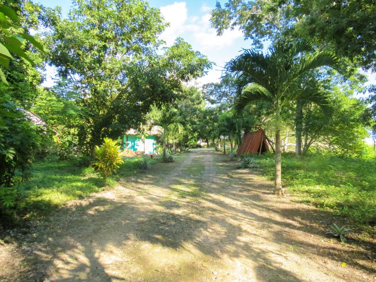 Cabanas Calakmul Villa Conhuas Exterior foto