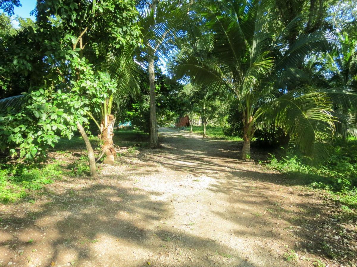 Cabanas Calakmul Villa Conhuas Exterior foto